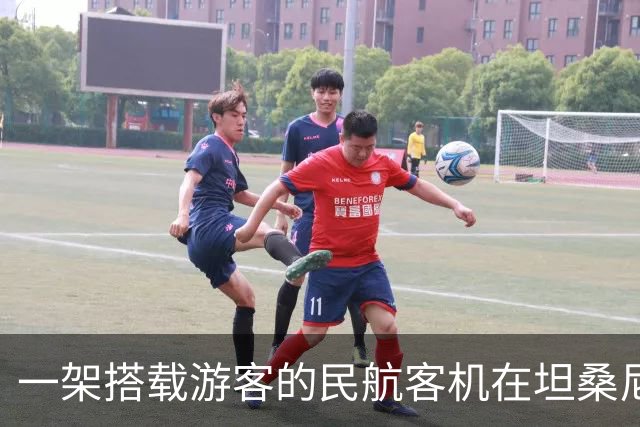 一架搭载游客的民航客机在坦桑尼亚塞罗内拉机场起飞时，撞死一头闯入跑道区域的野生斑马，飞机利用机腹紧急迫降，机上30人全部幸免于难