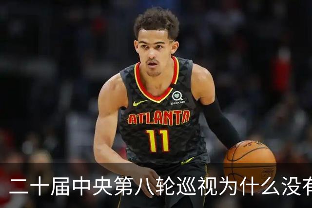 二十届中央第八轮巡视为什么没有公布巡视组名单和联系方式？