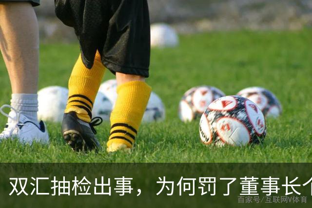 双汇抽检出事，为何罚了董事长个人被罚3764万？