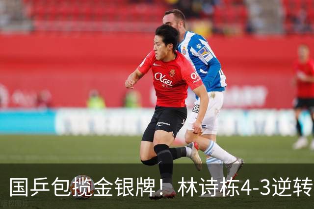 国乒包揽金银牌！林诗栋4-3逆转林昀儒 与王楚钦会师男单决赛
