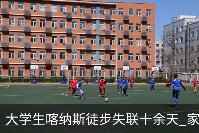 大学生喀纳斯徒步失联十余天 家属高额悬赏寻人 当地景区：全力搜寻中