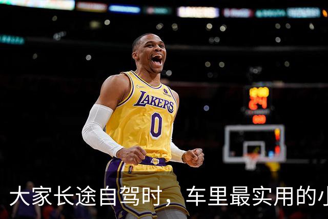 大家长途自驾时，车里最实用的小东西是什么？网友：太夯了！