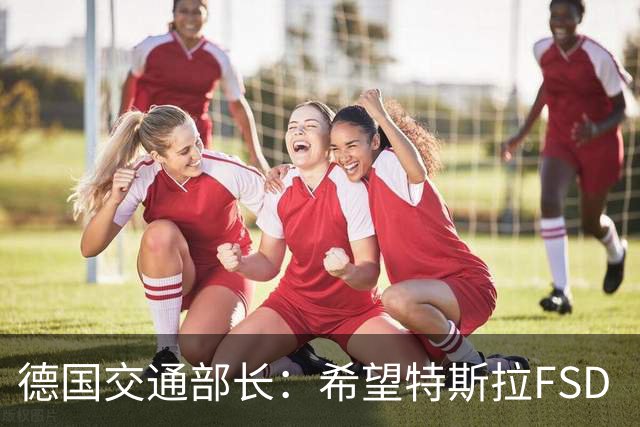 德国交通部长：希望特斯拉FSD（监督版）辅助驾驶系统能在欧盟获批