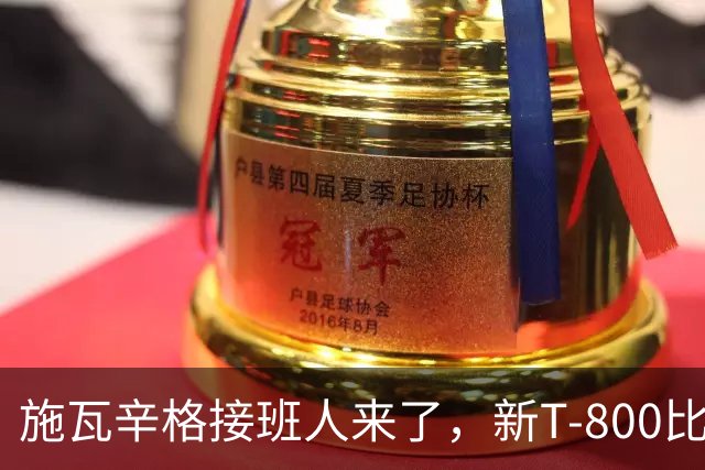 施瓦辛格接班人来了，新T-800比原版更致命
