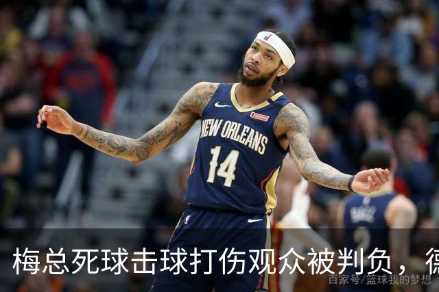 梅总死球击球打伤观众被判负，德约称能感同身受相信其非故意为之