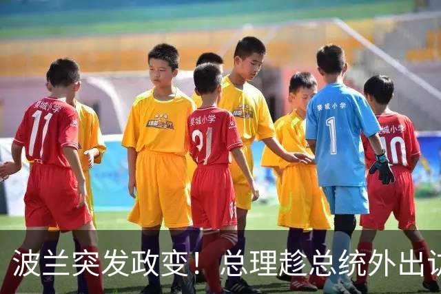 波兰突发政变！总理趁总统外出访问搞事，总统半路掉头