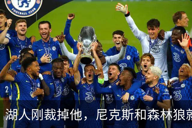 湖人刚裁掉他，尼克斯和森林狼就盯上了