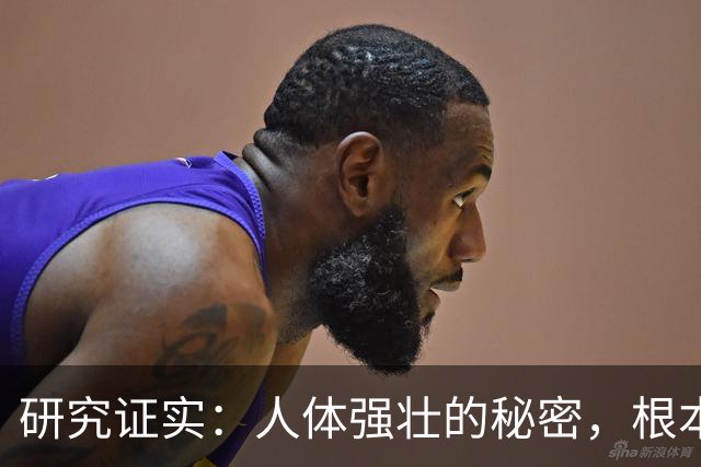 研究证实：人体强壮的秘密，根本不是肌肉！而是这几个东西
