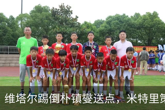 维塔尔踢倒朴镇燮送点，米特里策主罚命中，浙江2-4海港