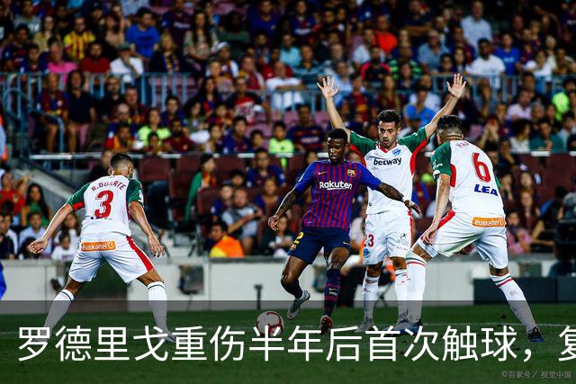 罗德里戈重伤半年后首次触球，复出时间初定12月至1月