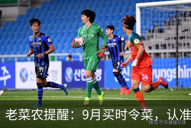 老菜农提醒：9月买时令菜，认准这5种，基本不打农药，便宜又养人，让家里人吃起来！