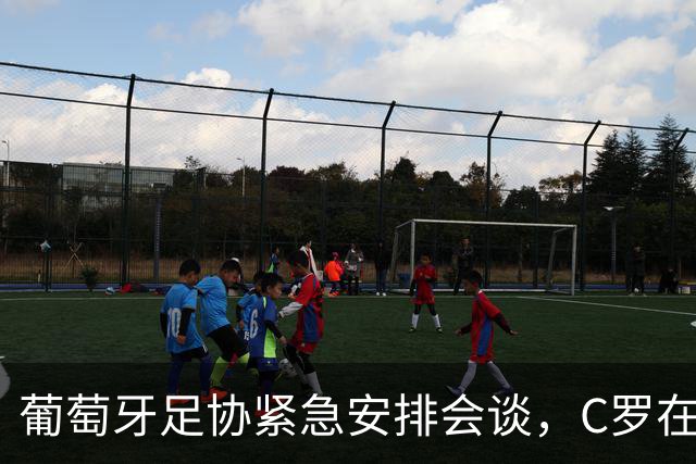 葡萄牙足协紧急安排会谈，C罗在马德里沉默不语，会见面吗？
