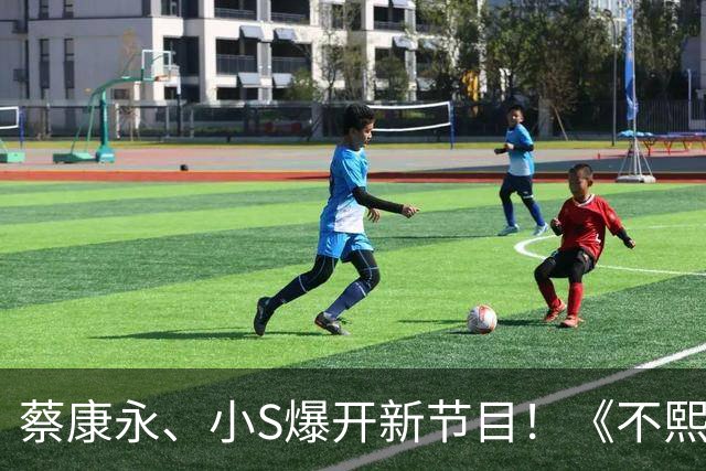 蔡康永、小S爆开新节目！《不熙娣》制作人B2开腔：合体不是最重要
