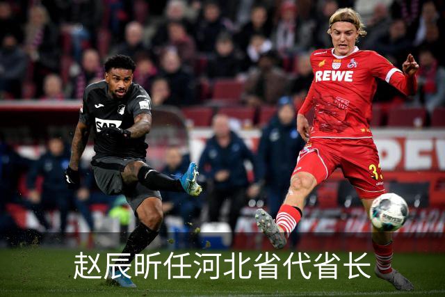 赵辰昕任河北省代省长