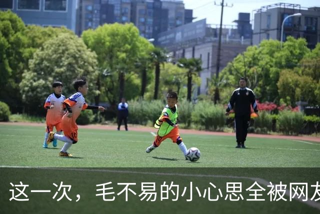 这一次，毛不易的小心思全被网友们分析出来了