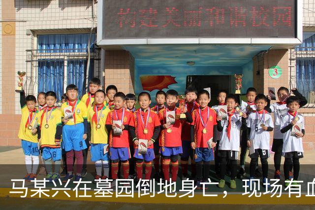 马某兴在墓园倒地身亡，现场有血迹流出，官方公布死因