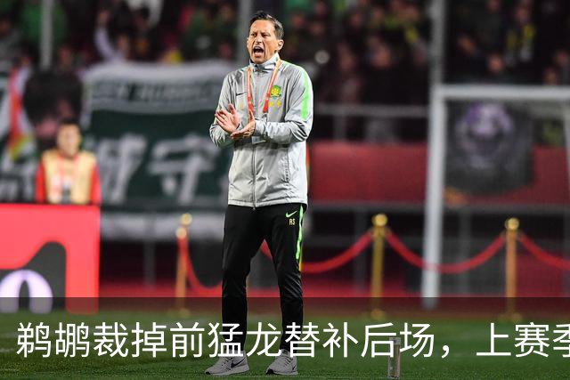 鹈鹕裁掉前猛龙替补后场，上赛季他在欧洲赛场的表现非常一般？