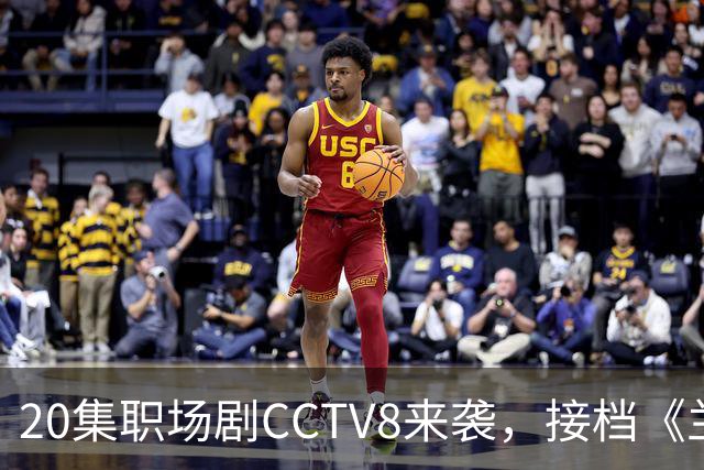 20集职场剧CCTV8来袭，接档《兰香如故》，阵容不错，有好剧追了