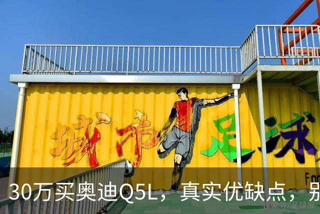 30万买奥迪Q5L，真实优缺点，别被销售忽悠！