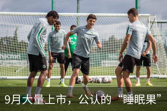 9月大量上市，公认的“睡眠果”，睡前吃一点，一夜好眠到大天亮