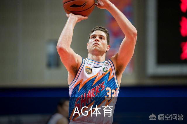 AG体育公司简介图片