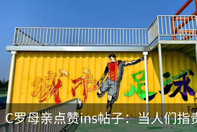 C罗母亲点赞ins帖子：当人们指责一个孩子时，最先疼的是母亲的心