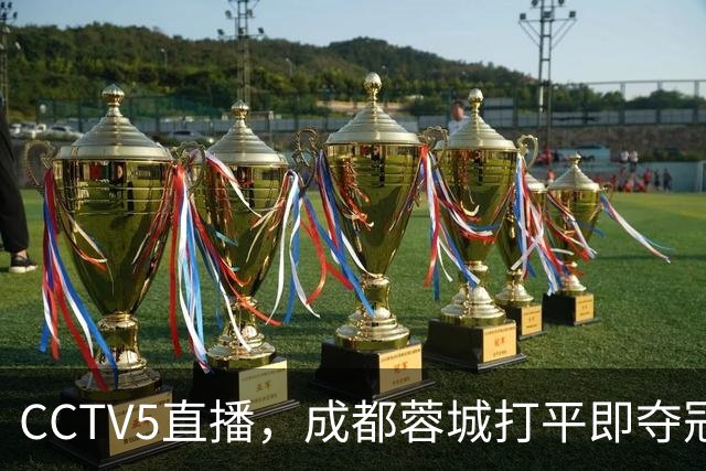 CCTV5直播，成都蓉城打平即夺冠，少了3大前锋，津门虎5外援阻击